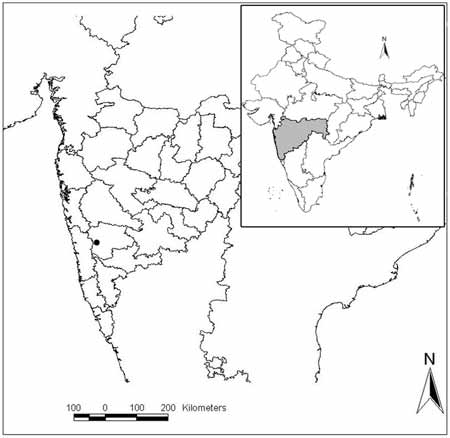 Figure 10 In A New Ground-dwelling Hemidactylus (squamata: Gekkonidae 