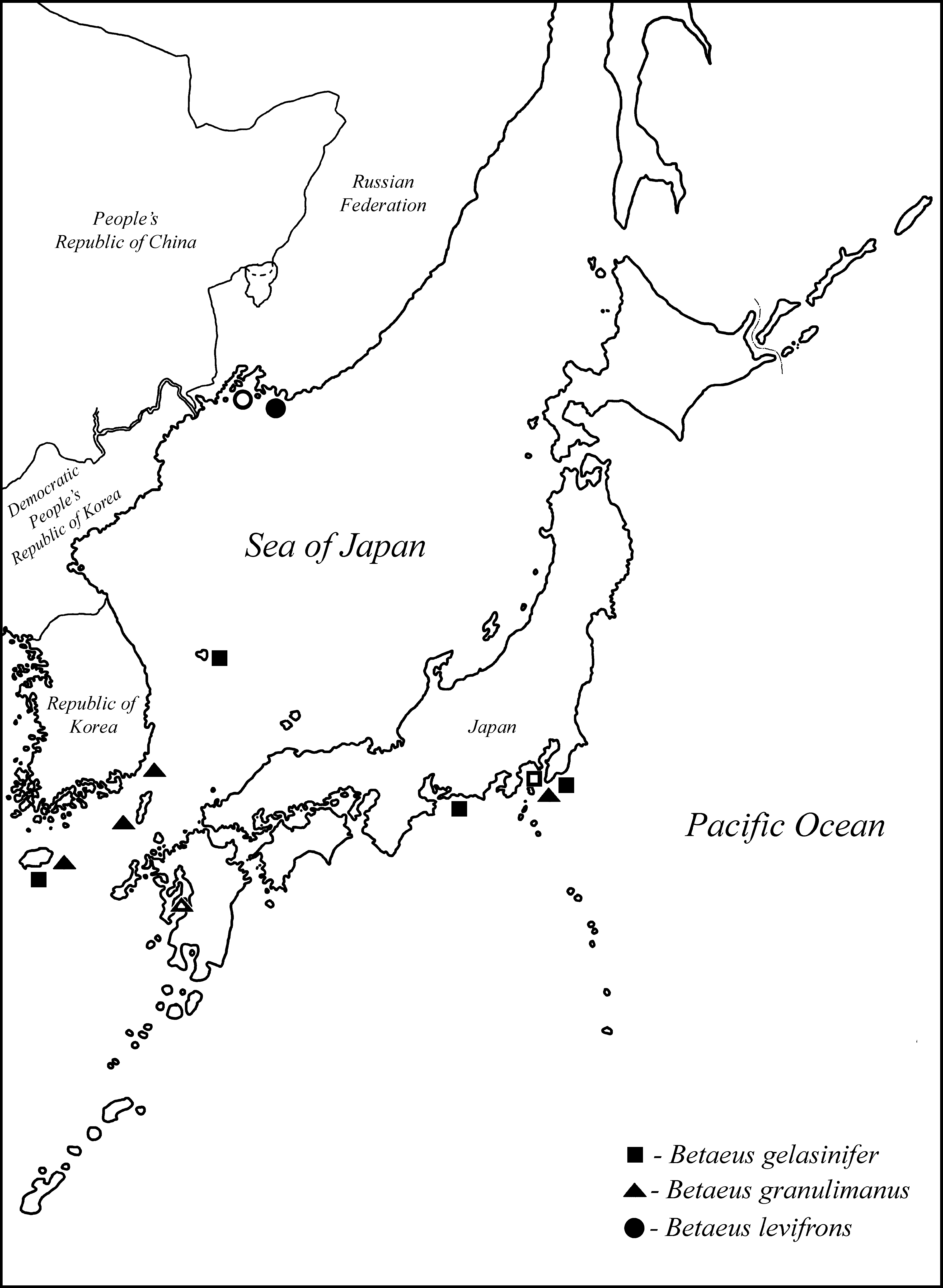 FIGURE 6 in Redescription of the alpheid shrimp Betaeus levifrons ...