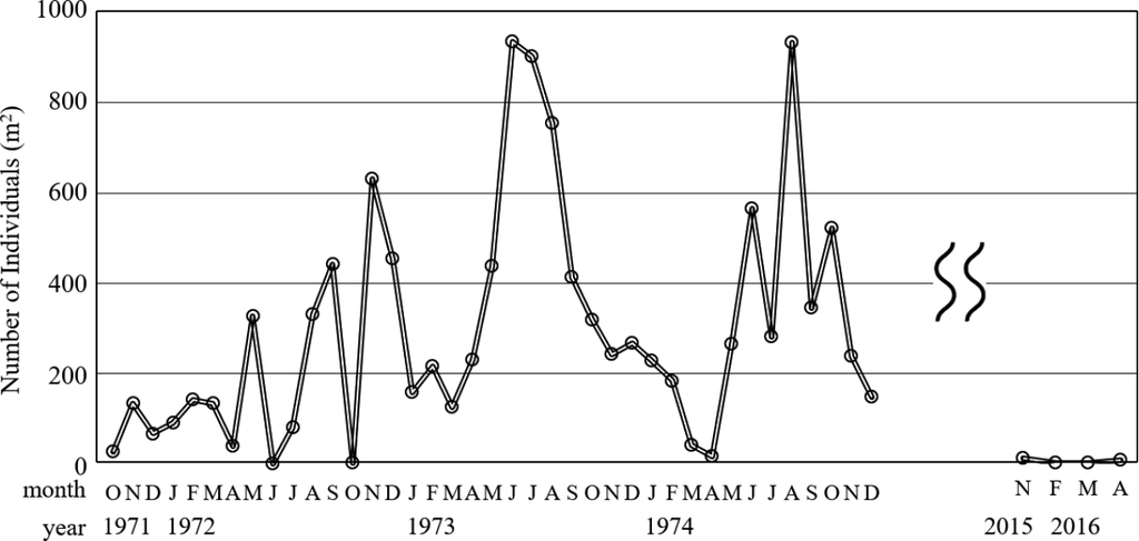 Figure 8 from: Ando K (2019) The study of amphipods in rimstone pools ...