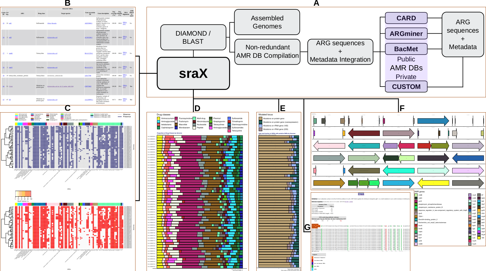 sraX's workflow