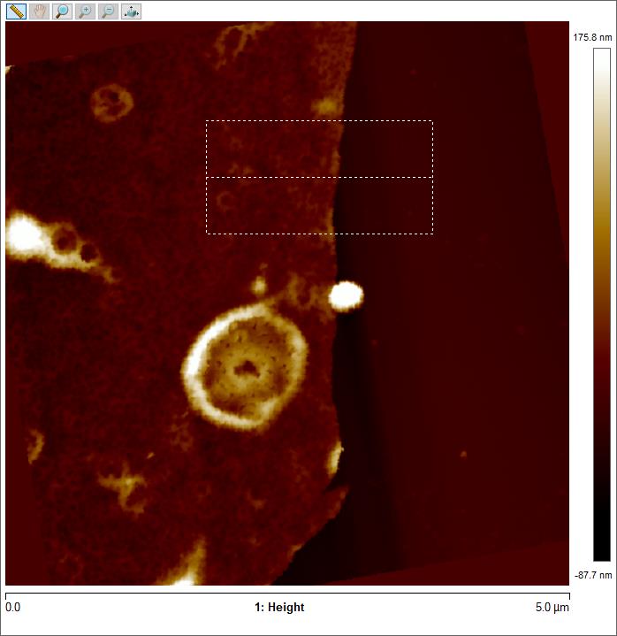 nanoscope analysis download