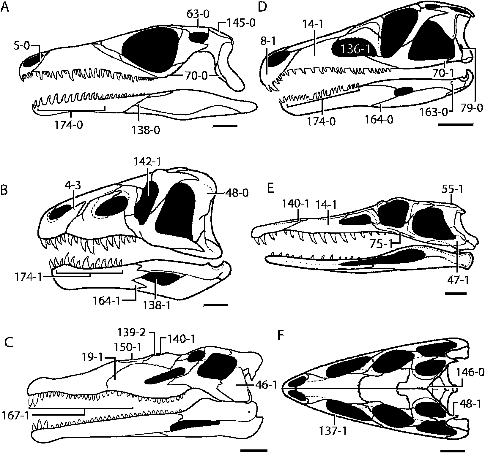 Fig. 16 in The Early Evolution Of Archosaurs: Relationships And The ...