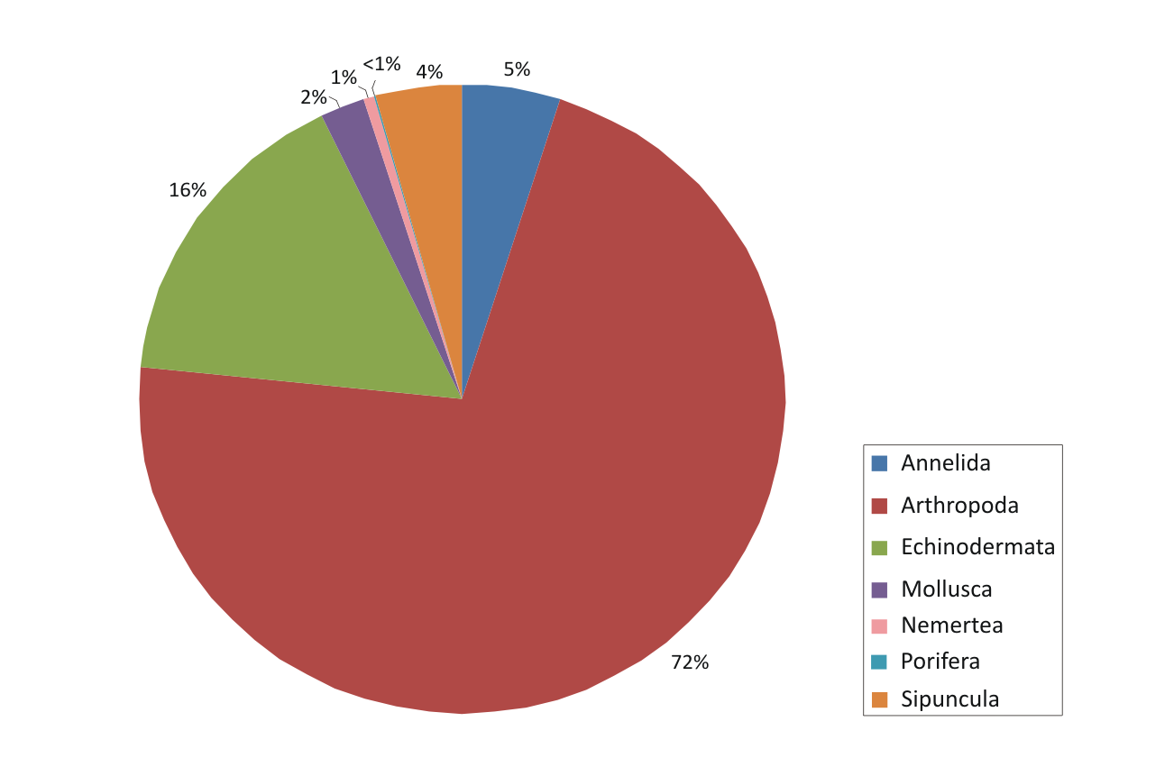 Figure 6 from: Pavloudi C, Christodoulou M, Mavidis M (2016 ...