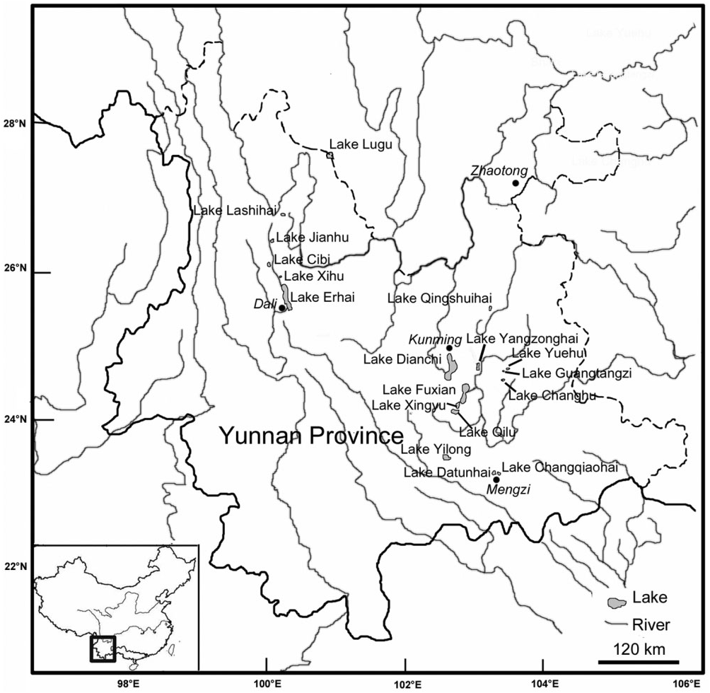 Figure 1 in Systematic revision of the freshwater snail Margarya Nevill ...