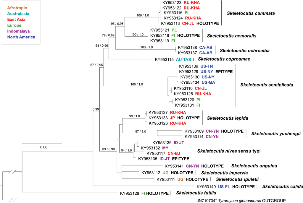 Figure 2 from: Korhonen A, Seelan JSS, Miettinen O (2018) Cryptic ...