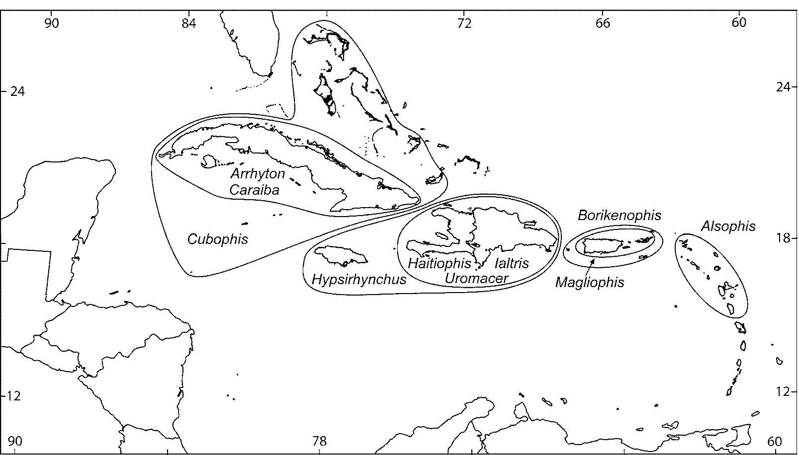 FIGURE 2 In Molecular Phylogeny, Classification, And Biogeography Of ...