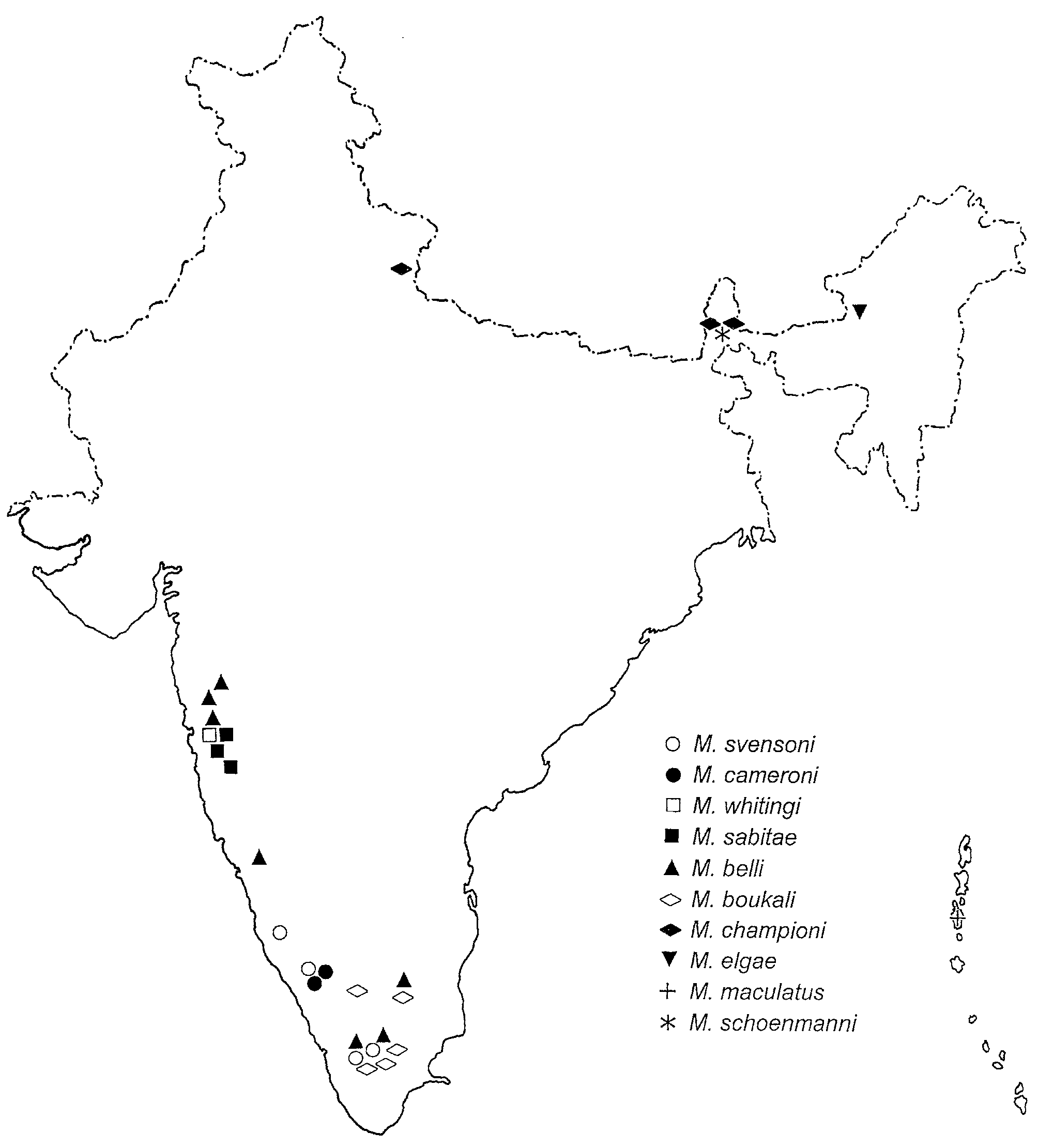 FIGURE 13 in Microdytes Balfour-Browne of India with description of ...