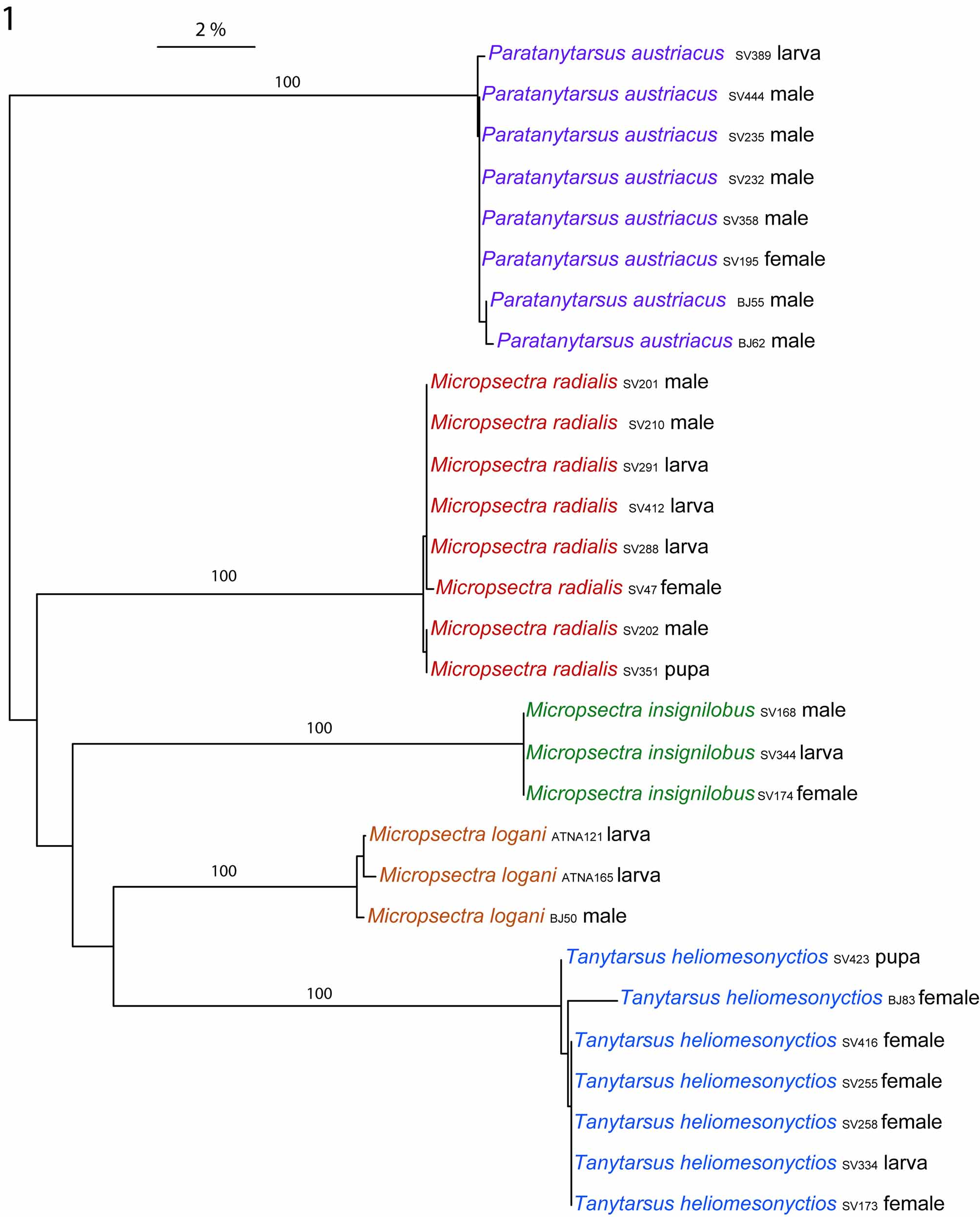 figure-1-in-exploring-unknown-life-stages-of-arctic-tanytarsini