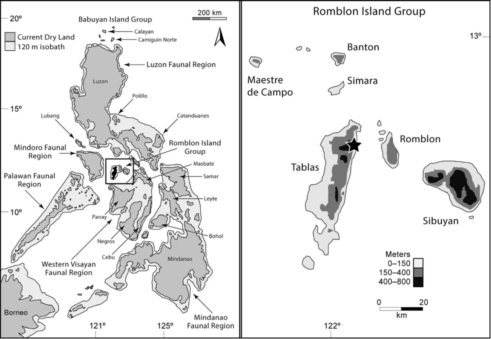 FIGURE 1 in Additions to Philippine Slender Skinks of the Brachymeles ...