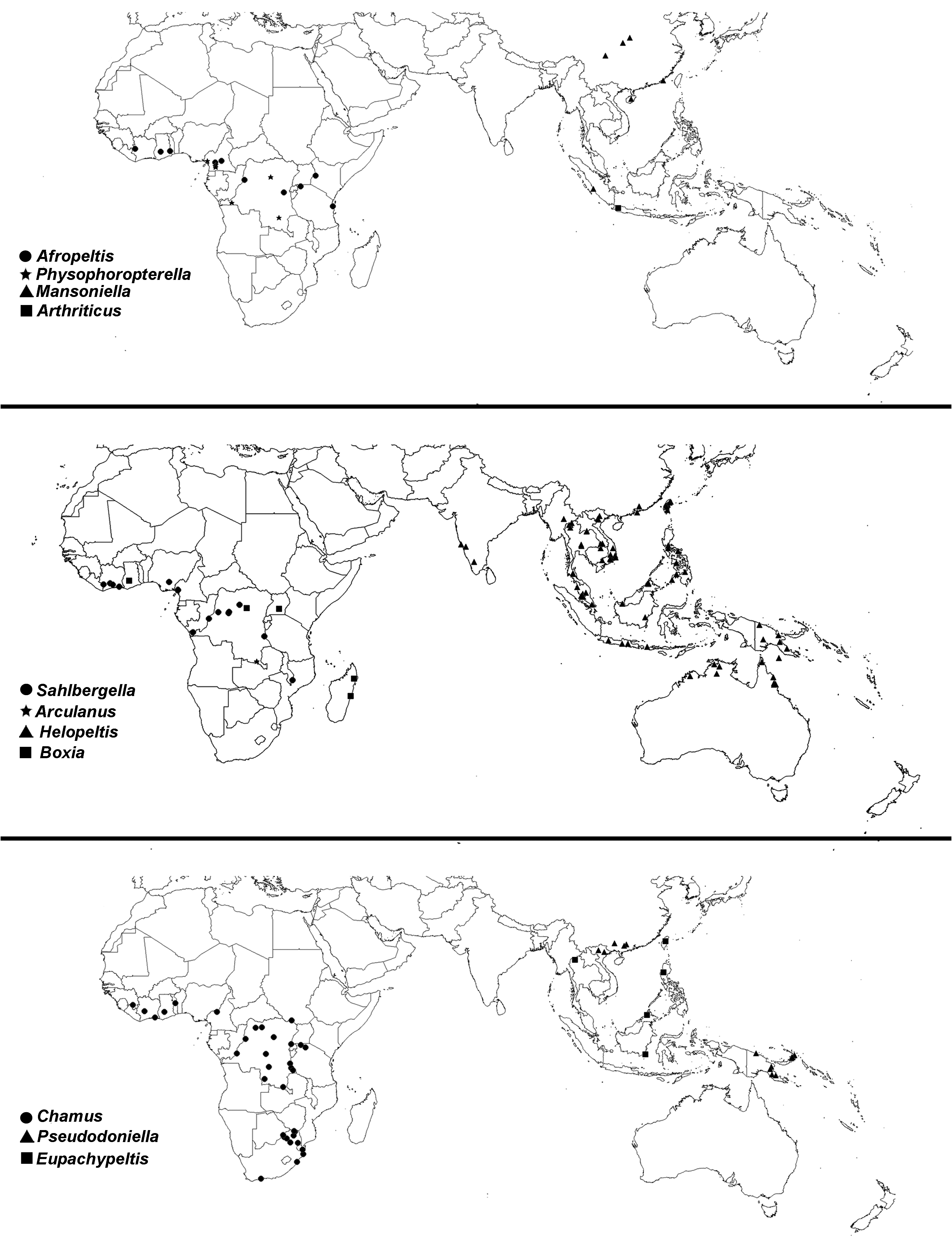 Figure 22 In Systematic Revision And Phylogeny Of The Plant Bug Tribe 