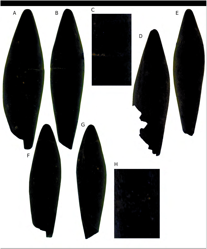 FIG. 10 in First Systematic Study using the Variability of the Residual ...