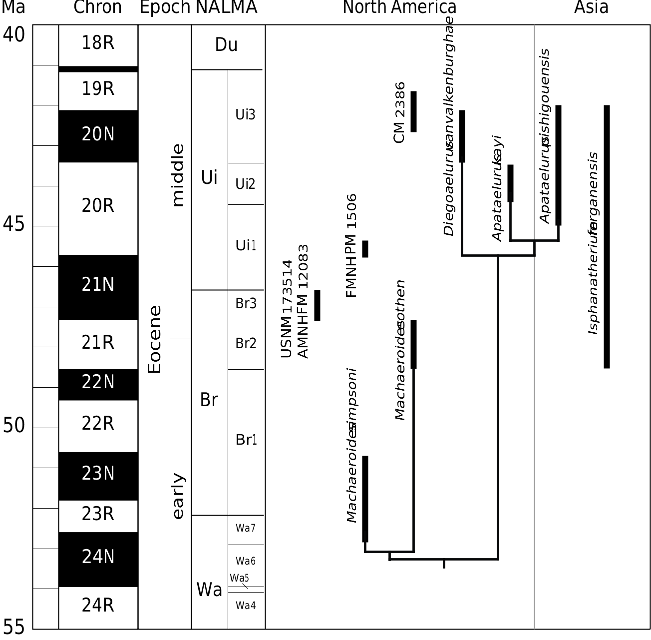 Figure 7 in Diegoaelurus, a new machaeroidine (Oxyaenidae) from the ...